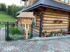 Złocień Zakopane